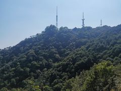 -灵顺寺