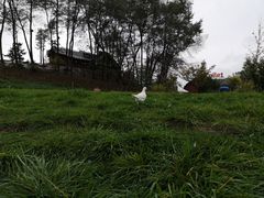 -照金红色旅游名镇