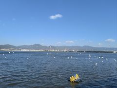 -海埂大坝