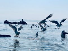 -深圳湾公园(南山区)