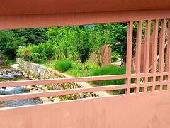 -北仑森林植物园