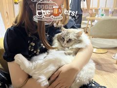 -白兔子密室(长寿路店)