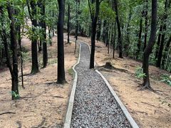 -火炉山森林公园