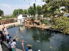 -湖鲜楼