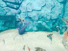 -泉城欧乐堡海洋极地世界
