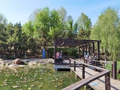 -前关湿地公园