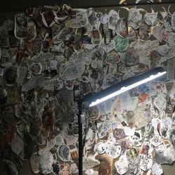 -幸运7纹身刺青Lucky7tattoo