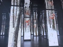 -中国湿地博物馆