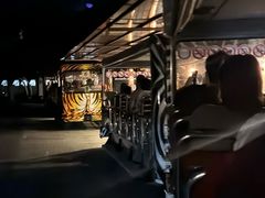-清迈夜间动物园