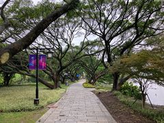 -江心屿景区