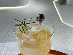 -柴务处·柴犬主题狗咖