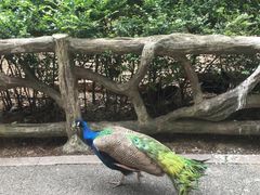 -黔灵山公园