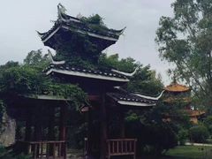 -沈阳植物园