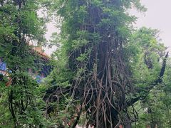 -北京国子监胡同