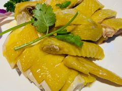 -新高记·粤菜·湛江鸡(南头古城店)