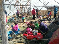 -大自然农场蔬菜草莓采摘园