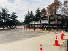 -上海佘山国家森林公园东门地面停车场