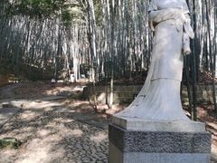 -敬亭山风景名胜区