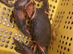 -川味里•商务宴请•团建聚餐(清湖店)