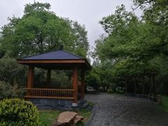 景点-逍遥津公园