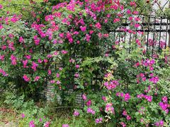 -江南大学(蠡湖校区)