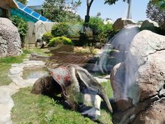 -大连森林动物园