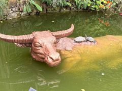-燊海井