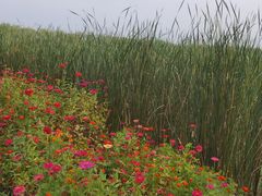 -永定河休闲森林公园