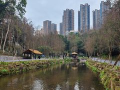 -重庆彩云湖湿地公园