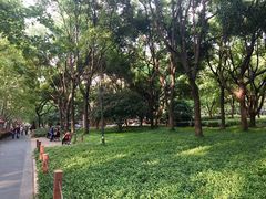 -徐家汇源景区-衡山坊