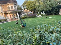 -J Create城市露营咖啡·简餐·宠物(上海动物园店)