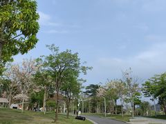 -白石龙音乐公园