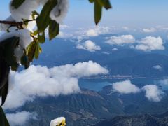 -瓦屋山景区