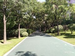 -迎泽公园