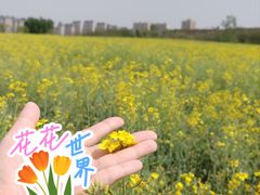 -汉长安城未央宫国家考古遗址公园