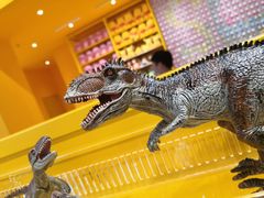 -KKV(深圳宏发大仟里店)