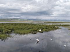 -花湖生态旅游区