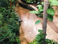 -北京植物园-展览温室