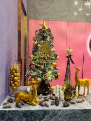 -花隐·美芙炫海菲秀皮肤管理中心