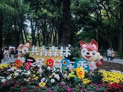 -上海共青森林公园