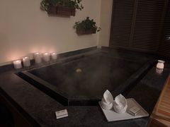 -春晖园度假酒店温泉