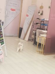 -Beauty Nails 美甲美睫皮肤管理