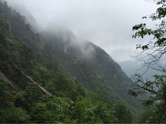 iphone_upload_pic-大明山自然探索公园
