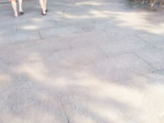 -杭州浪浪浪水公园