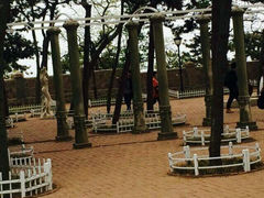 android_upload_pic-八大关景区