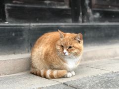 -宝宇大连海鲜渔港(金奎大厦店)