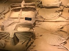 天子驾六-洛阳周王城天子驾六博物馆