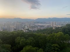 -金鸡山公园