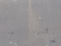 -海尔巴格一甸茶餐厅(团结路店)