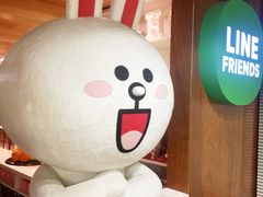 -line friends(明洞旗舰店)